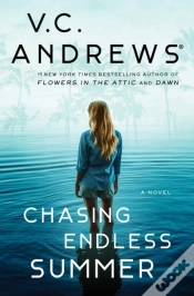 Capa do artigo Chasing Endless Summer