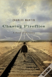 Capa do artigo Chasing Fireflies
