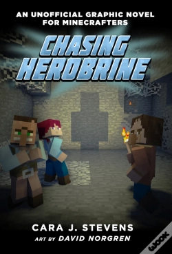Capa do artigo Chasing Herobrine