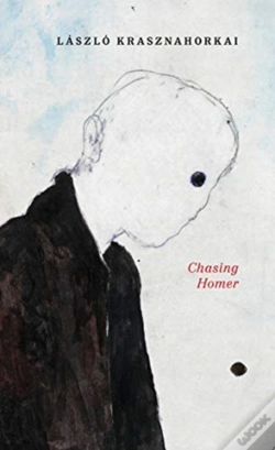 Capa do artigo Chasing Homer