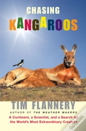 Capa do artigo Chasing Kangaroos