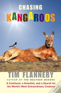 Capa do artigo Chasing Kangaroos