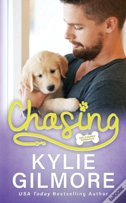 Capa do artigo Chasing