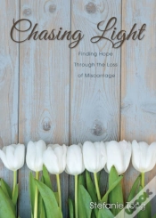 Capa do artigo Chasing Light
