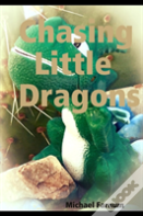 Chasing Little Dragons