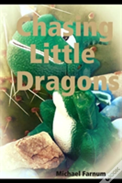 Capa do artigo Chasing Little Dragons