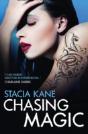 Chasing Magic - Preview