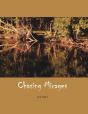 Chasing Mirages - Preview