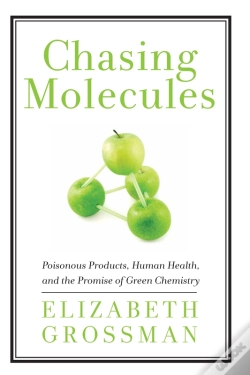 Capa do artigo Chasing Molecules