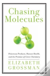 Capa do artigo Chasing Molecules