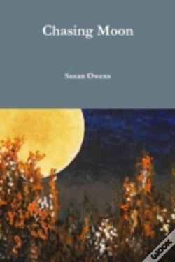 Capa do artigo Chasing Moon