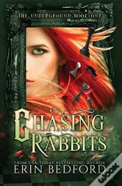 Capa do artigo Chasing Rabbits