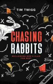 Capa do artigo Chasing Rabbits