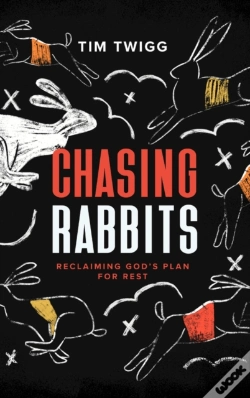 Capa do artigo Chasing Rabbits