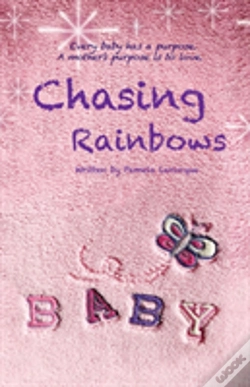 Capa do artigo Chasing Rainbows