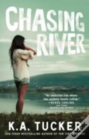 Capa do artigo Chasing River