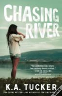 Capa do artigo Chasing River