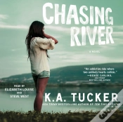 Capa do artigo Chasing River