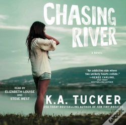Capa do artigo Chasing River