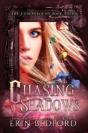 Chasing Shadows - Preview