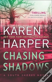 Capa do artigo Chasing Shadows
