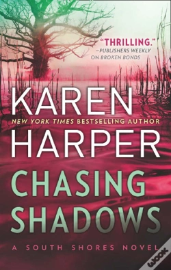 Capa do artigo Chasing Shadows