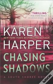 Capa do artigo Chasing Shadows