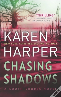 Capa do artigo Chasing Shadows