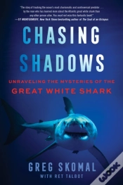 Capa do artigo Chasing Shadows