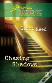 Capa do artigo Chasing Shadows
