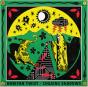 Chasing Shadows - Vinil - Preview