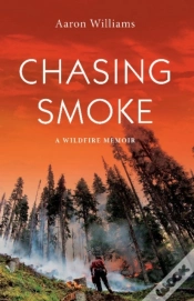 Capa do artigo Chasing Smoke