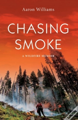 Capa do artigo Chasing Smoke