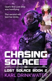 Capa do artigo Chasing Solace