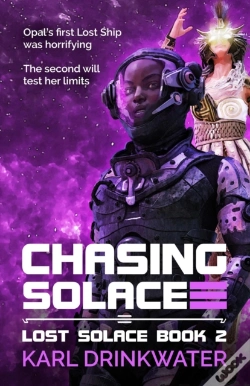 Capa do artigo Chasing Solace