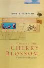 Chasing The Cherry Blossom - Preview