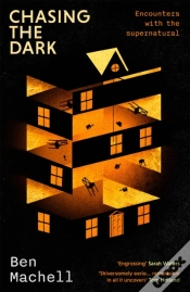 Capa do artigo Chasing The Dark