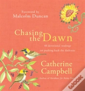 Capa do artigo Chasing The Dawn