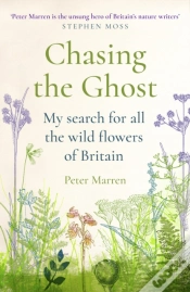 Capa do artigo Chasing The Ghost