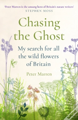 Capa do artigo Chasing The Ghost
