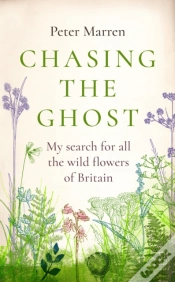 Capa do artigo Chasing The Ghost