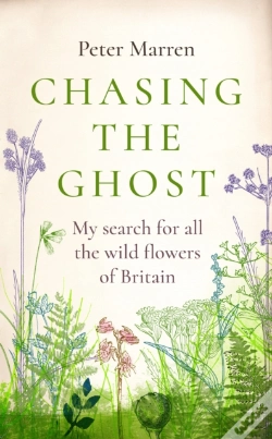 Capa do artigo Chasing The Ghost