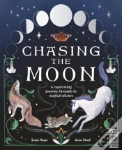 Capa do artigo Chasing The Moon