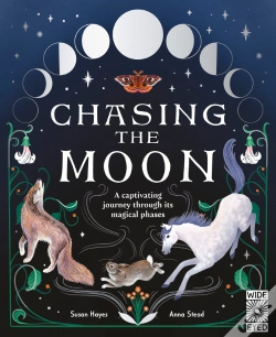 Capa do artigo Chasing The Moon