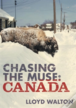 Capa do artigo Chasing The Muse