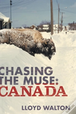 Capa do artigo Chasing The Muse