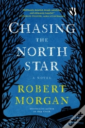 Capa do artigo Chasing The North Star