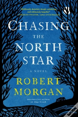 Capa do artigo Chasing The North Star