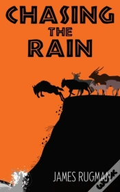 Capa do artigo Chasing The Rain