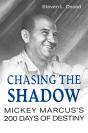 Chasing The Shadow - Preview